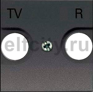 Накладка для TV-R розетки, 2-модульная, серия Zenit, цвет антрацит