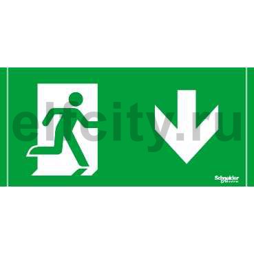 Наклейка а на аварийный светильник. 11вт знак. Временная диаграмма входных сигналов. Терморегулятор omron e5cn. Программа видеотест-динамика.