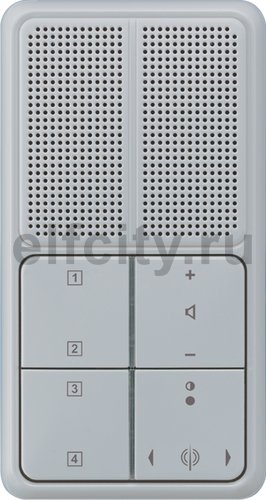 Радиоприемник скрытого монтажа с RDS с динамиком, серый