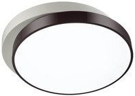 Потолочный светодиодный светильник Lumion Agatha 4509/72CL