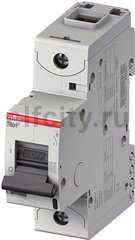 Автоматический выключатель 1-полюсный S801N D10