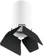 Потолочный светильник Lightstar Rullo (214436+202437) R436437