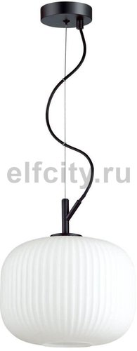 Подвесной светильник Odeon Light Roofi 4753/1