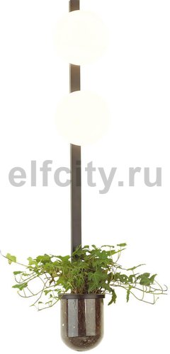 Настенный светильник Odeon Light Flower 4681/2WA