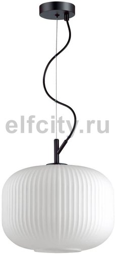 Подвесной светильник Odeon Light Roofi 4754/1