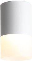 Потолочный светодиодный светильник ST Luce Ottu ST100.542.10