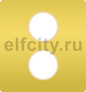 FD04316OB-A Монтажная плата для механизмов с двумя коннекторами, цвет bright gold ,беж