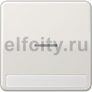 Клавиша с окошком для выключателя с подсветкой и полем для надписи; светло-серая