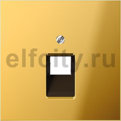 Крышка для ординарной телефонной и компютерной розетки UAE; металл цвета золота