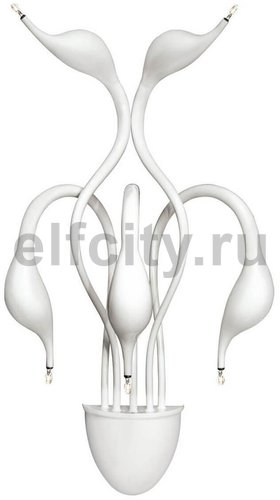 Бра Lightstar Cigno Collo Wt 751656