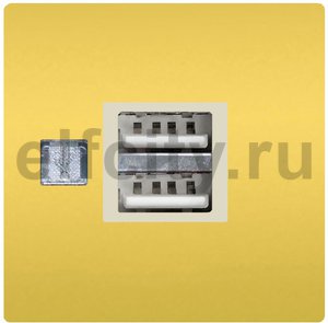 FD-212USBOB-A Зарядное устройство с двумя USB портами, bright gold/бежевый