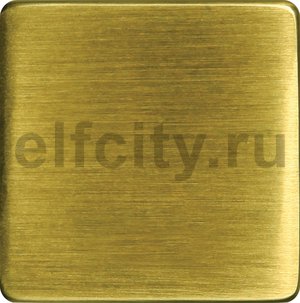 FD04310PB Клавиша широкая без подсветки, цвет bright patina